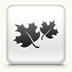 Square Button with Fall Leaves N2