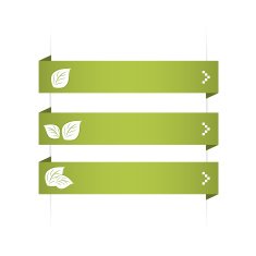 Infographic Options Banner N7