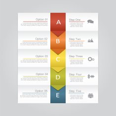 Infographic report template layout Vector illustration N41