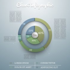Business Pie Chart N18