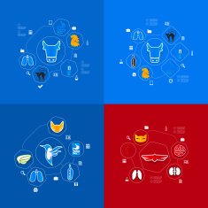 Veterinary sticker infographic N103