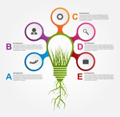 Abstract options infographics design template N4