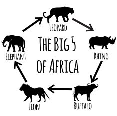 The big five of Africa