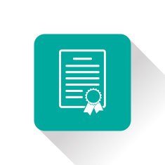 certificate with badge icon N15