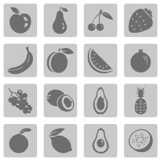Vector Set of Fruit Icons N12