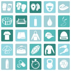 Vector Set of Mix Martial Arts Icons N5