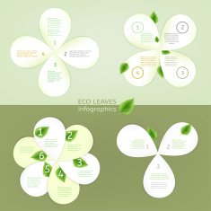 Leaves infographic N9