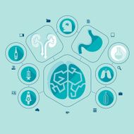 medicine flat infographic N40