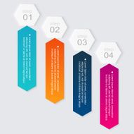 Vector colorful info graphics for your business presentations N299