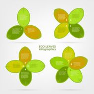 Leaves infographic N10