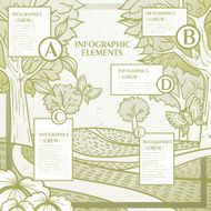 vintage infographic template design