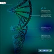 Virus infographic N5