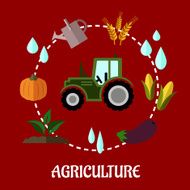 Agriculture flat infographic concept