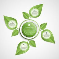 Abstract infographic Nature concept Vector illustration N2