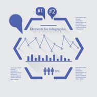 Vector Infographic report template made from lines and icons N6