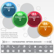 Infographic vector option banner N8
