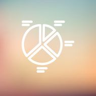 Pie chart thin line icon N3