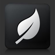Black Square Button with Leaf Icon N17