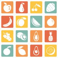 Vector Set of Fruit Icons N14