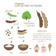 Carob infographics Vector illustration