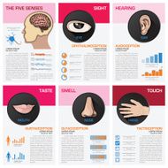 The Five Senses Chart Diagram Infographic