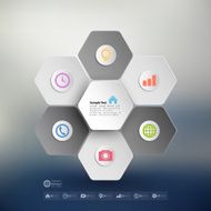 Infographic for business geometric background abstract blurred hexagonal pattern vector