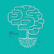Flat linear Infographic Education Outline Brain Roots Concept N2