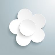 white flower N2