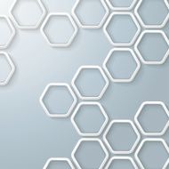 White Hexagons Honeycomb Infographic