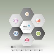 Infographic for business geometric background abstract hexagonal pattern vector N6