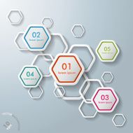 White Hexagons Infographic N2