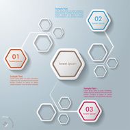 Colorful Abstract Hexagons Infographic 3 Options