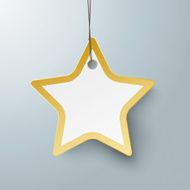 Golden Star Price Sticker