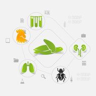 Veterinary sticker infographic N109