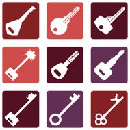 Vector Set of Keys Icons N24