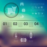 veterinary infographic with unfocused background N84