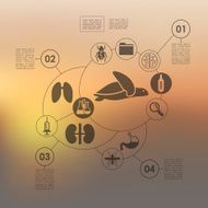 veterinary infographic with unfocused background N87