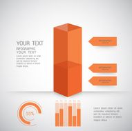 Business and Marketing Infographic N6