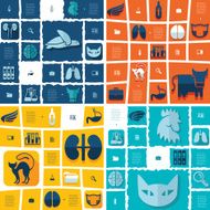 veterinary flat infographic N53