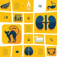 veterinary flat infographic N54
