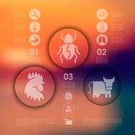 veterinary infographic with unfocused background N102