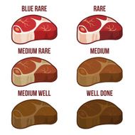 Degrees of Steak Doneness Icons Set Vector
