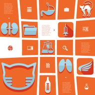 veterinary flat infographic N56