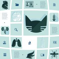 veterinary flat infographic N57