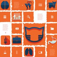 veterinary flat infographic N58