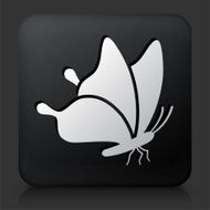 Black Square Button with Butterfly Icon N4