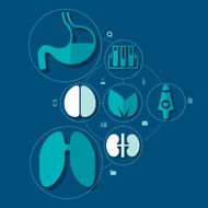 Medical flat infographic N107