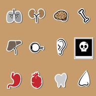 Organs vector health care set