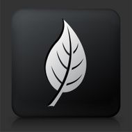 Black Square Button with Leaf Icon N18