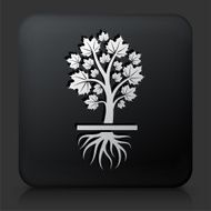 Black Square Button with Growing Tree N3